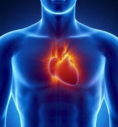 The art of following your heart…
