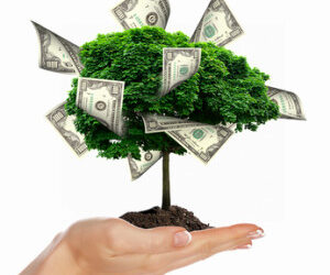 It’s All About Money – Or Is It?