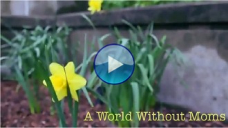 [Video] A World Without Moms???