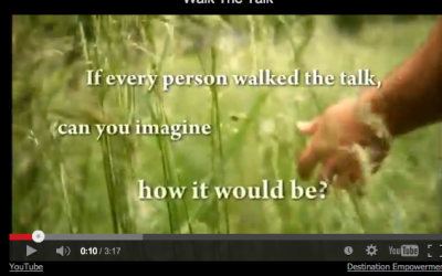 [Video] Walk the Talk